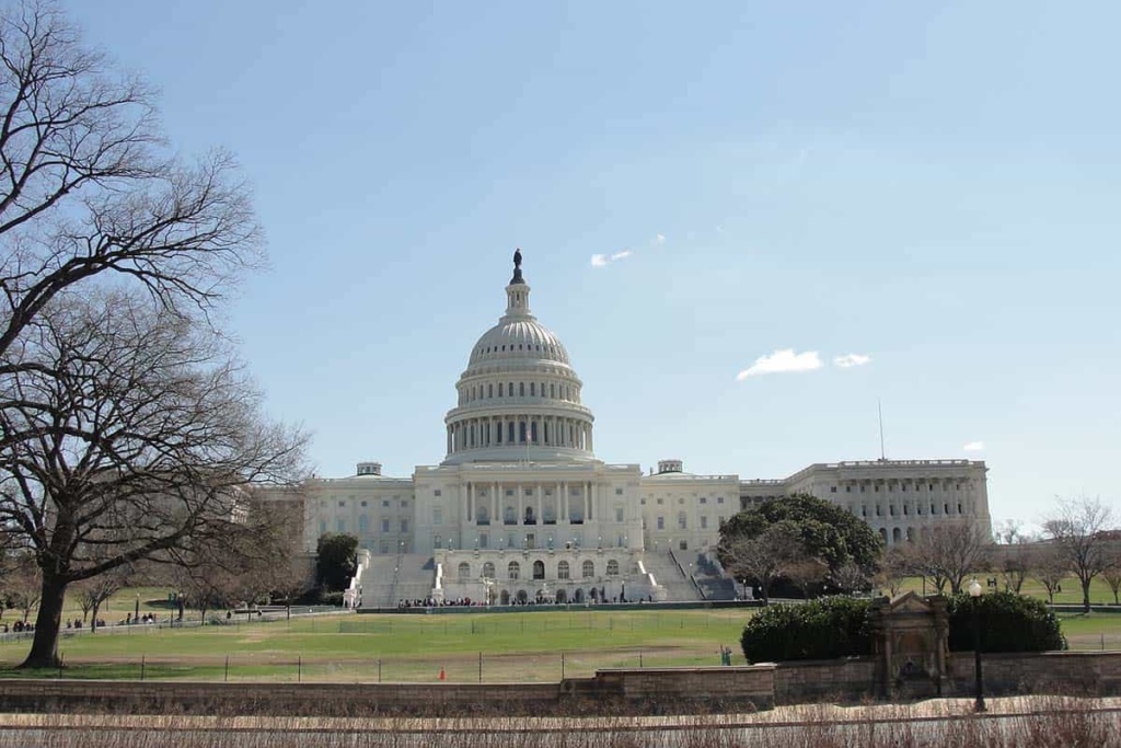 difference-between-presidential-and-parliamentary-red-lasso